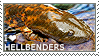 Stamp; white text in the bottom left reads: 'I <3 HELLBENDERS'. The background is a photo of a hellbender salamander.