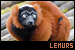 Stamp; red-ruffed lemur
