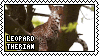 Stamp; leopard therian