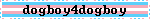dogboy 4 dogboy