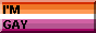 88x31 button; I'M GAY
