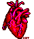 anatomical heart