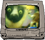 A clip from the PBS Kids/Sprout TV Series Zoboomafoo